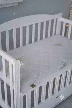 Матрац для дитячого ліжечка Baby Comfort Aloe Vera 120*60*10 см Матрац для дитячого ліжечка Baby Comfort Aloe Vera 120*60*10 см