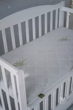 Матрац для дитячого ліжечка Baby Comfort Aloe Vera стеганний 120*60 см